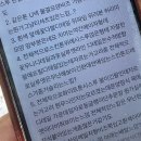 리니아 | 스포사리니아 드레스 샘플 세일 후기 (2026.02, 구매 O)