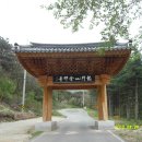 옥천2리 | 경기 양평 용문산 백운봉 (940m)