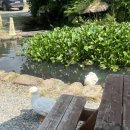 수원시 팔달구 정조로906번길 | 기념일을 맞이한 수원 행궁동 데이트_1박2일 가보자고?