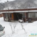 임신마을 Daum카페
