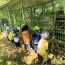 광명유치원 이미지