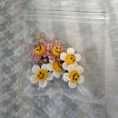 자이1층엔약국 | 다낭한시장 쇼핑리스트 떼샷 | 아오자이 구매후기 가격시세 속옷가게번호 원피스 나이키