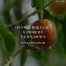 설-연휴에 온몸이 꼬인다. 이미지