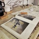 올리브 장작 이미지