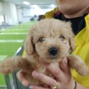 마도공단로 이미지