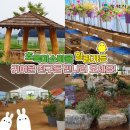 오골계마을 이미지