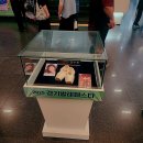 샤이멍 | 2026 경기발레페스타(1일차) 관람후기ㅣ서울발레시어터 댄스시어터샤하르 윤별발레컴퍼니 와이즈발레단...