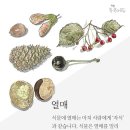 자연톡톡 이미지