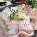 어시장활어회직거래판매장 이미지