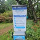 전북아그로 | 대전근교 꽃놀이 또는 나들이로 좋은 익산 아가페 정원 5월 28일 방문 후기 + 맛난 해물칼국수 집도 추천함