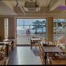 1649 | [수영구 광안리 횟집 회 맛집 추천!] 광안리 진미횟집 광안리 진미횟집, 30년 노하우의 맛