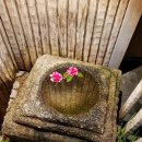 신강혁 행정사 사무소 이미지