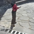 예쁜멍멍이 | 경기 남양주 : 포토존 가득한 애견 동반 대형카페 솔직 후기 [ 봉주르 팔당 in 크리스마스]