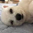 두루몽실 이미지