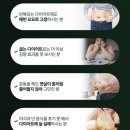 심플다이어트 | 개화.다이어트영양제 청련비책 연꽃약, 간편하게 챙기는 다이어트영양제 후기