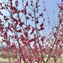 대포천작은도서관 이미지