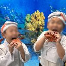 이튼유치원 이미지