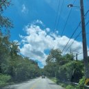 여주-1139 | 여행 • 옥천 1박2일 • 여름 시골의 초록 맛을 가득 머금은 애견동반 가족 여행 • 옥천 미션투어...