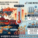 (주)바이오사료연구소 | 🚀 <사료> 기후 변동성과 지정학적 리스크의 결합, 2028년까지의 장기 메가트렌드 진입