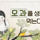 [하나님의교회] 별빛 편지 - 서툰 정성일지라도 이미지