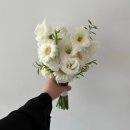 💐 웨딩스냅 촬영부케 계약후기 : 소이디플라워 (킴스룸, 쁘띠따쁘띠, 꽃술예)