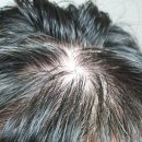 소금 | 러쉬 리햅솔티 소금샴푸 내돈내산 후기