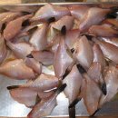 오늘의 생선 이미지