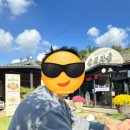 솔밭생수식당 | [대구 송해공원 근처 맛집] 솔밭생수식당 한우 시래기 된장찌개 내돈내산 후기