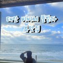 비비체 풀빌라 | [여행] 태안 비비체 풀빌라 뷰맛집 후기