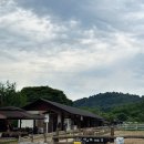 해피목장 | 해피초원목장 솔직후기 | 아이 넷 데리고 다녀온 춘천 당일치기 (주차, 먹이체험, 포토존 현실까지)