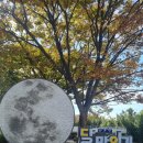 해운대강남LCT공인중개사사무소 이미지