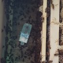 신왕농장 이미지