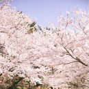 제이앤스튜디오