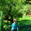 사곡농장 이미지