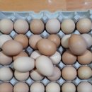 옛날토종닭 이미지