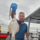 덕진호 좌대낚시터 이미지