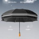 차광남 이미지