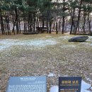 자유공원 지석묘 이미지