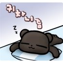 소파홀릭
