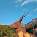 석정사슴 이미지