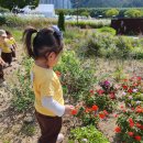 태화강국가정원🪴🌳🌾을 다녀왔어요 이미지