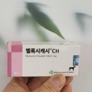 선한동물약국 네이버블로그