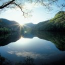 글로벌 행정사 이미지