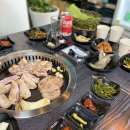 돼지야한우야 이미지