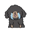 세차의고수 남양주다산점 이미지