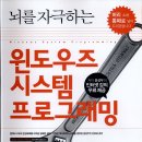 뇌를 자극하는 윈도우즈 시스템 프로그래밍 (저자:윤성우)후기