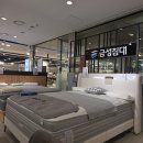 금성2 | 혼수 침대 추천｜금성침대 NC강서점 내돈내산, 2개월 사용후기