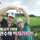백세라이프 Daum카페