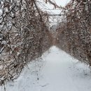 화백농장 이미지