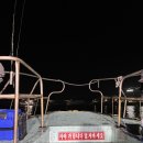 군산낚시꾼 | 군산쭈꾸미낚시(초보꿀팁, 쭈꾸미크기, 인당 40마리)후기